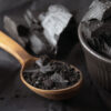 The Stone That Healed: A Tale of Kashmiri Shilajit
