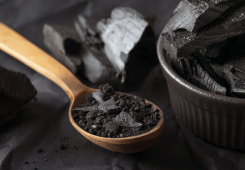The Stone That Healed: A Tale of Kashmiri Shilajit